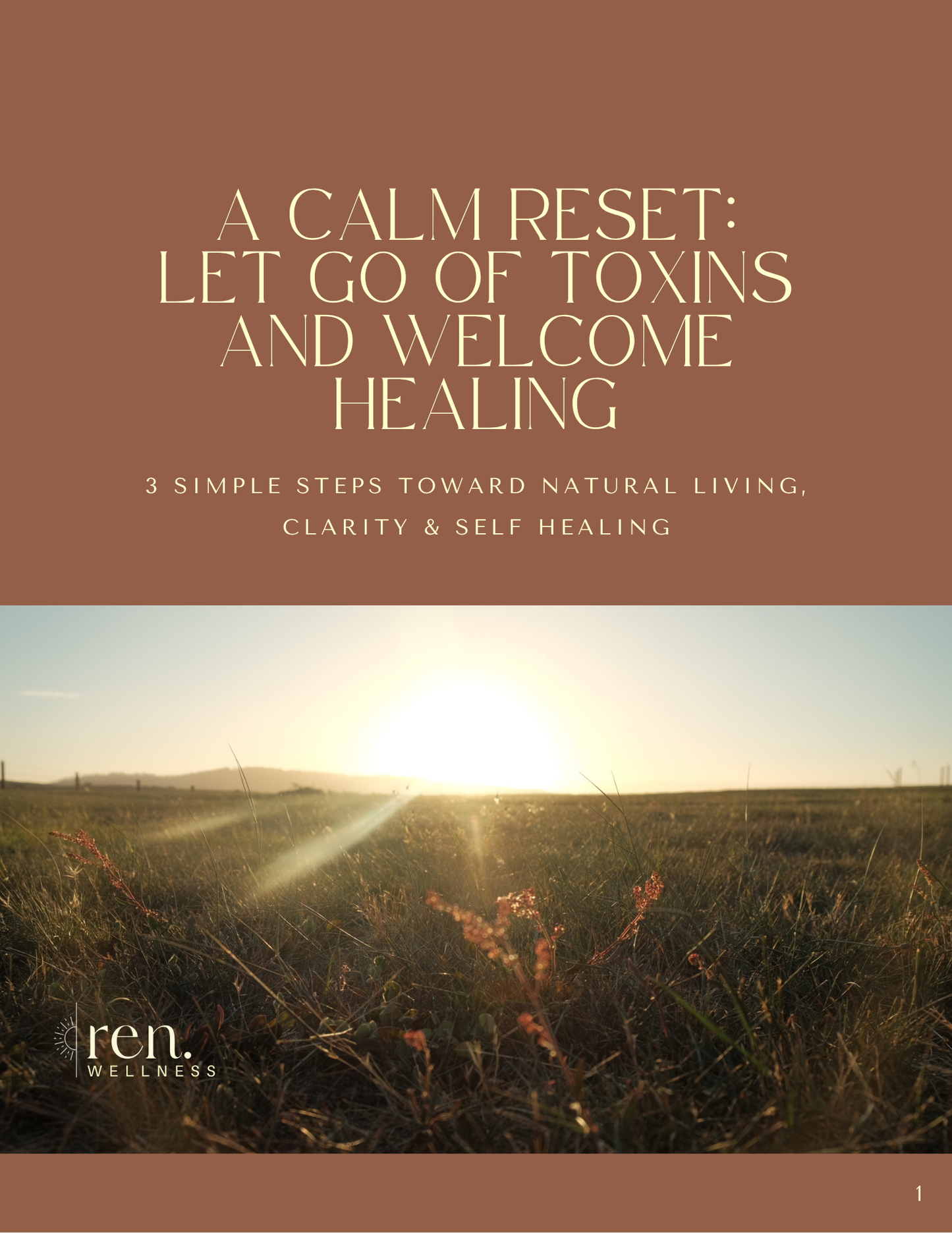 A Calm Reset: Let Go of Toxins & Welcome Healing