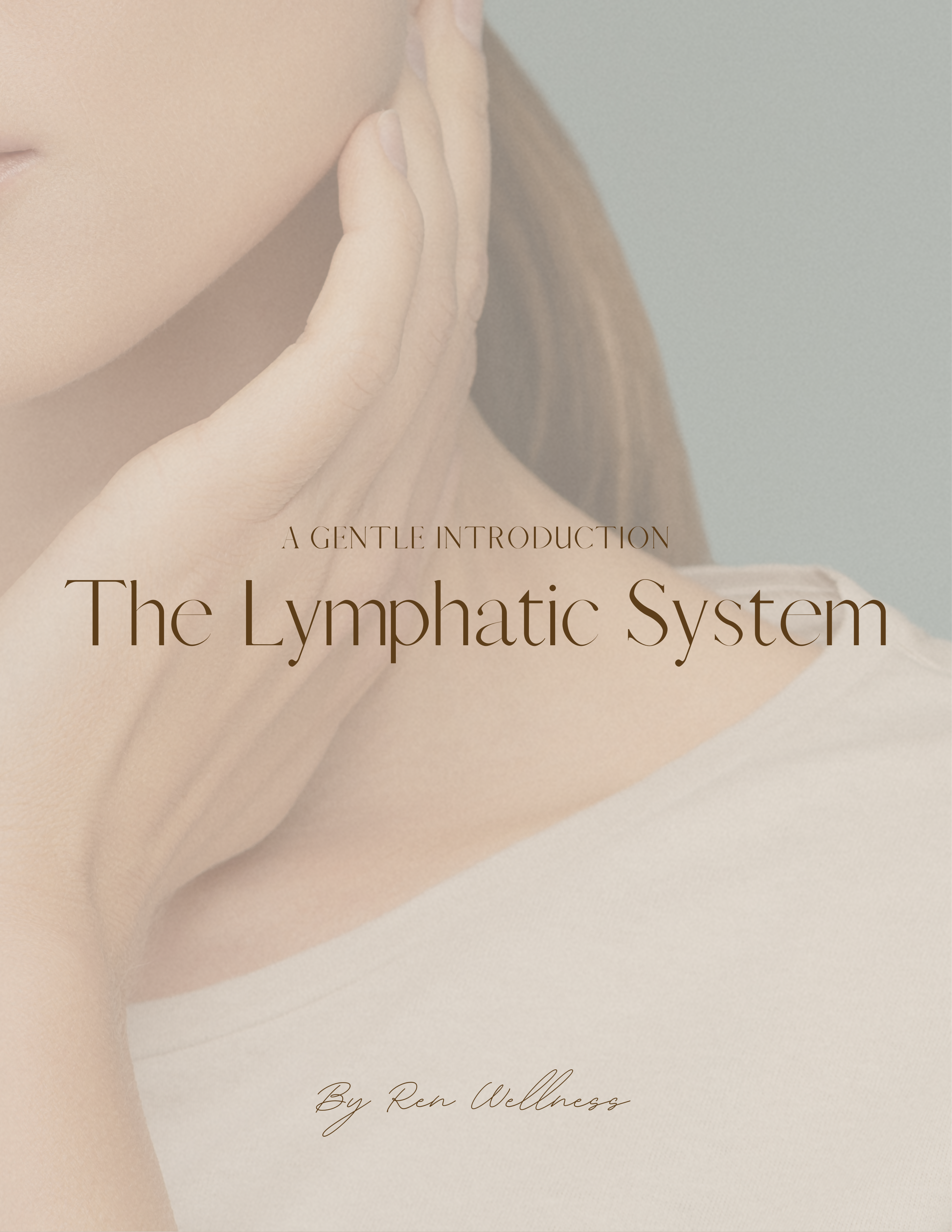 The Lymphatic System: A Gentle Introduction